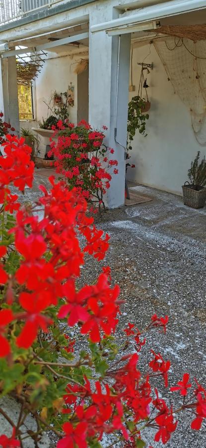 روكّا سان جيوفانّي Magnolia Casa Di Campagna Costa Dei Trabocchi المظهر الخارجي الصورة