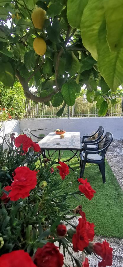 روكّا سان جيوفانّي Magnolia Casa Di Campagna Costa Dei Trabocchi المظهر الخارجي الصورة